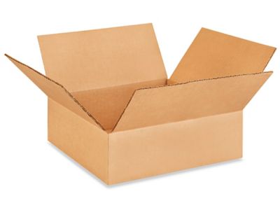 Corrugated Box 10x10x3"