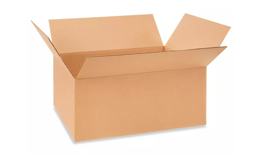 Corrugated Box 21-3/8x15-5/8x9-1/2" - SS6