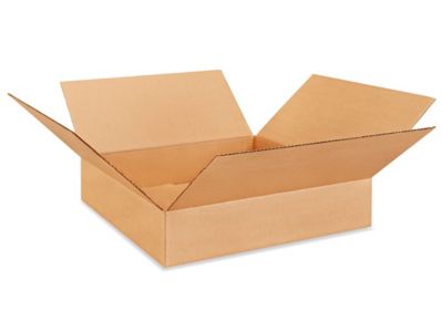 [CB-12020041] Corrugated Box 20x20x4"